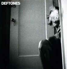 Vinyl COVERS