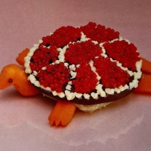 Vinyl TURTLE ROCK