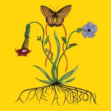 CD LIKE A RIBBON