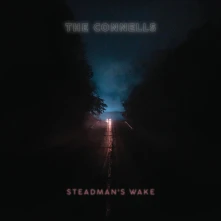 Vinyl STEADMAN'S WAKE