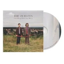 CD EVERYTHING, WHEN SAID SLOWLY