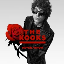 The Kooks, CD NEVER/KNOW