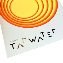 Vinyl Tarwater - Nuts of Ay
