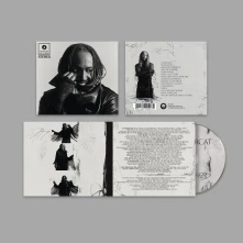 CD Distracted