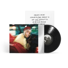 Vinyl AMBIGUOUS DESIRE