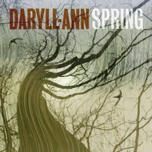 Vinyl ANN - SPRING
