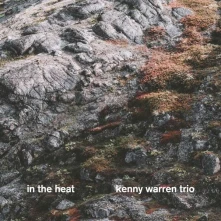 CD TRIO- - IN THE HEAT