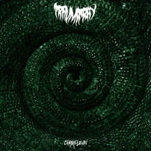 CD CHAMELEON