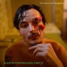 Vinyl ALICE IN CONTRALAND PA...