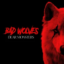 Vinyl DEAR MONSTERS