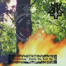 Vinyl VERWUSTUNG / INVOKE TH...
