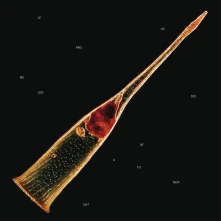 CD Melodies of Atonement