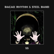 Vinyl 55
