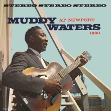 Vinyl MUDDY WATERS AT NEWPOR...