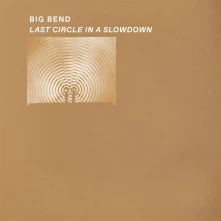 Vinyl LAST CIRCLE IN SLOWDOWN