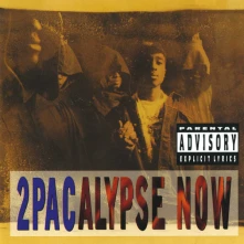 Vinyl 2Pacalypse Now