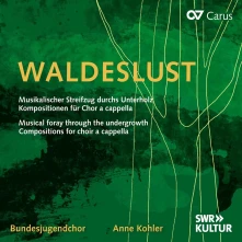 CD MUSICAL FORAY THROUGH ...