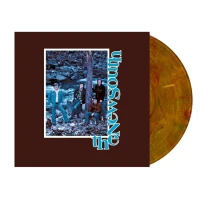 Vinyl THE NEW SOUTH