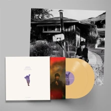 Vinyl WE'VE BEEN GOING ABOUT THIS ALL WRONG
