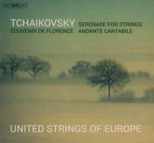 CD TCHAIKOVSKY: SOUVENIR ...