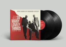 Vinyl SO MANY LOVELY THINGS:...