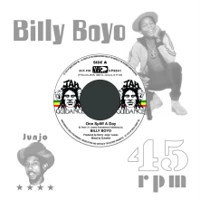 Vinyl 7-ONE SPLIFF A DAY/ONE...