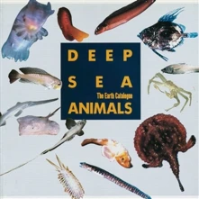 Vinyl DEEP SEA ANIMALS