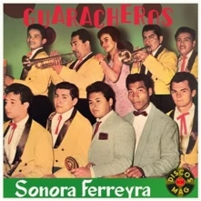 Vinyl GUARACHEROS