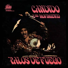 Vinyl PALOS DE FUEGO