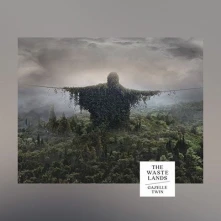 Vinyl WASTELANDS