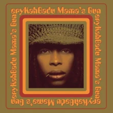 Vinyl Mama's Gun