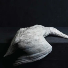 Amenra, CD Mass Vi