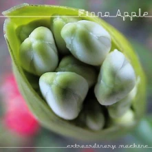 Fiona Apple, CD Extraordinary Machine