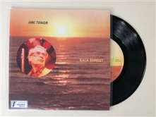 Vinyl 7-GAIA SUNSET