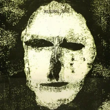 CD THE SHROUD OF