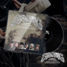 Vinyl Sad Song