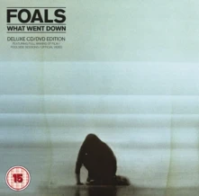 CD WHAT WENT DOWN (CD+DVD)