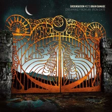 Vinyl GROUNDATION - DREAMING FROM AN IRON GATE