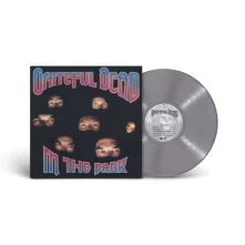 Vinyl IN THE DARK (SILVER VINYL, SYEOR 2024)