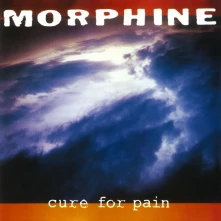 Morphine, Vinyl CURE FOR PAIN