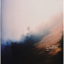 Vinyl FOREST TAPES