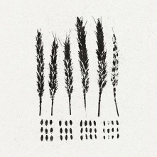 Vinyl GLEANERS