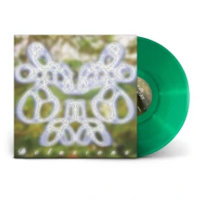 Vinyl DELUSIONS