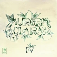 Vinyl IV