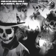 CD OLD BONES, NEW FIRE