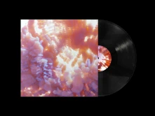 Vinyl IXONA