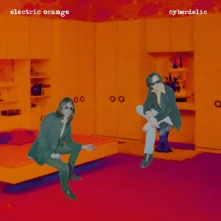 Vinyl CYBERDELIC