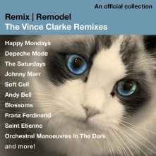 CD REMIX/REMODEL - THE VI...