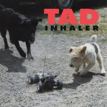 Vinyl Inhaler