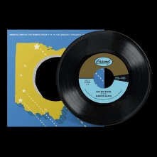 Vinyl 7-GO ON FOOL